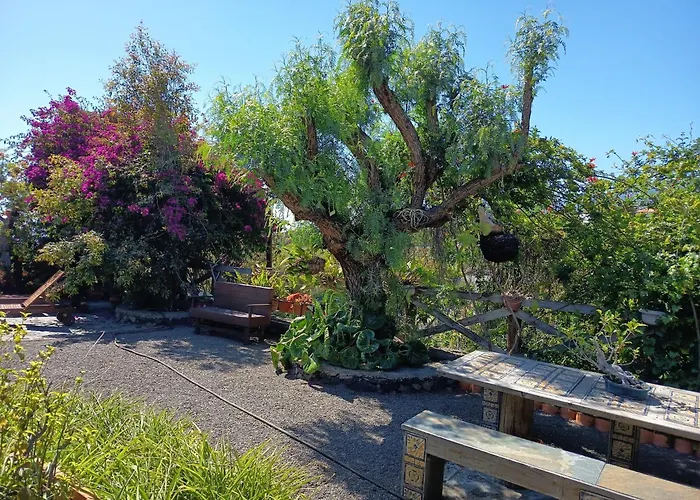 Finca Alda